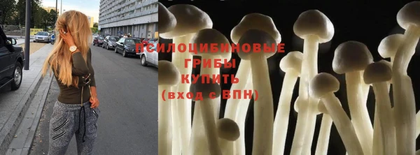 соль ск Арсеньев