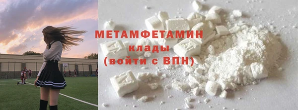 PSILOCYBIN Аркадак