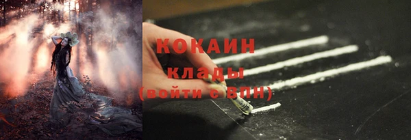 PSILOCYBIN Аркадак