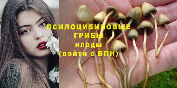 соль ск Арсеньев