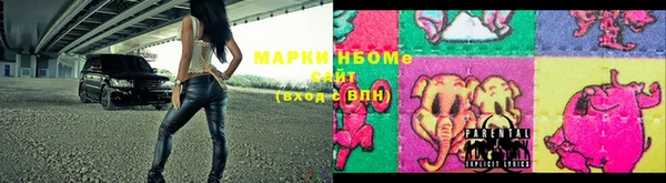 PSILOCYBIN Аркадак