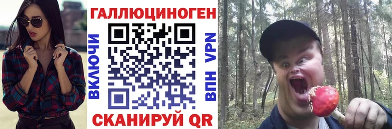 Псилоцибиновые грибы Psilocybine cubensis Нея